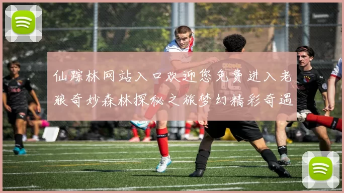 仙踪林网站入口欢迎您免费进入老狼奇妙森林探秘之旅梦幻精彩奇遇乐园