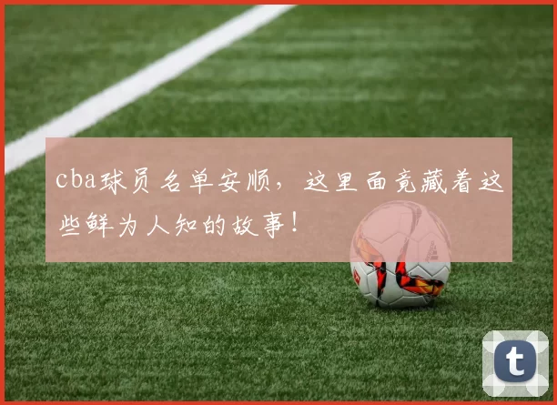 cba球员名单安顺,这里面竟藏着这些鲜为人知的故事!