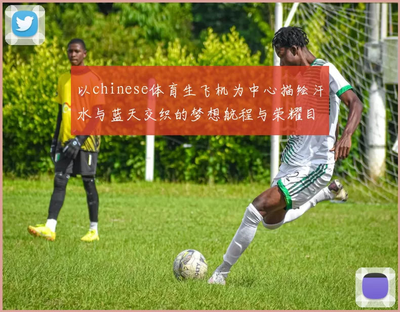 以chinese体育生飞机为中心描绘汗水与蓝天交织的梦想航程与荣耀目标